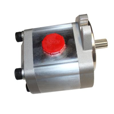 Draagbare elektrische 110V 220V tandwielpomp van roestvrij staal voor de overdracht van olie van voedselsoorten