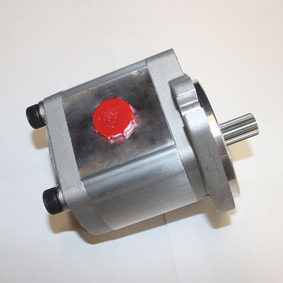 Draagbare elektrische 110V 220V tandwielpomp van roestvrij staal voor de overdracht van olie van voedselsoorten